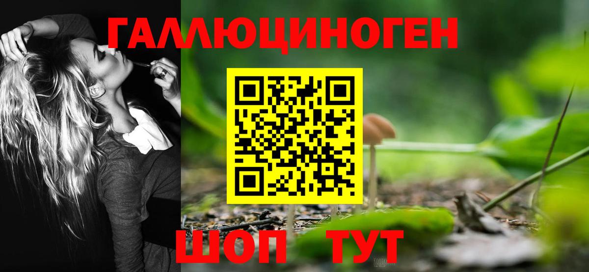 Псилоцибиновые грибы мицелий Острогожск